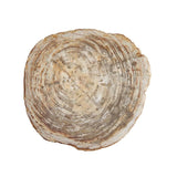 Petrified Wood 16" Cheese Board