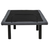 Tasca Twin Dual-Motor Adjustable Bed Base in Black