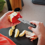 BergHOFF Leo Legacy Stainless Steel Paring Knife 3.5"