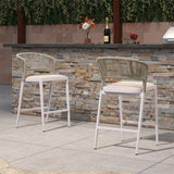 PURPLE LEAF Outdoor Bar Stool Set of 6, Wicker Chairs Bar Chairs with Cushion, All-Weather Patio Furniture kitchen stools