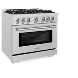 ZLINE 36" Select Dual Fuel Range Gas Cooktop Electric Convection Oven DuraSnow® Stainless Steel HDRS-36