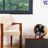 OTTO Fan - now available again