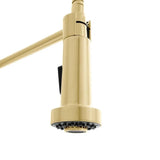 ZLINE Apollo Kitchen Faucet, APL-KF-PG