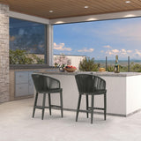 PURPLE LEAF Outdoor Bar Stools Patio Modern Aluminum Rattan High Back & Arms Bar Chairs with Removable Cushions and Pillows  for Outdoor or Indoor