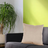 20 x 20 Pillow Bella Sand - Down Insert