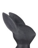Black Marble Rabbit