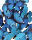 Rue de Bac Blue Medium Butterflies