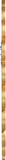 Shell Glass Contemporary Mirror - Stunning 32" Gold Framed Accent with Shell Details for Any Room