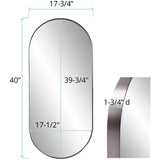 Steele Capsule Mirror in Brushed Silver