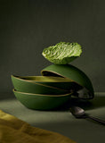 Organic Shaped Dinnerware Set Dadasi X Gift