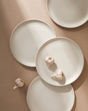 Le Gourmand Dinnerware Set  X Gift