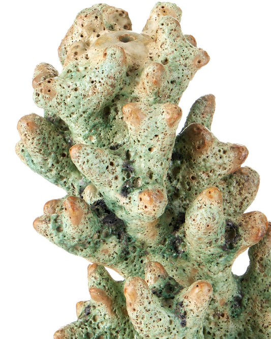 Staghorn Green Coral Object