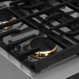 ZLINE 30" Paramount Gas Rangetop Stainless Steel Brass Burners SRT-BR-30