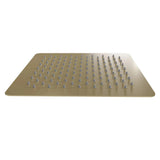 ZLINE 12" Bliss Shower Head in Champagne Bronze BLS-H12-CB