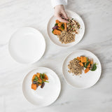 Modern Coupe Dinner Plate 10.5"