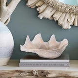 Large Vongole