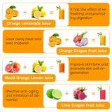 Dual Head Electric Citrus Juicer, Plug-in Juicer Machine