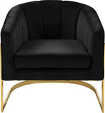 Carter Contemporary Velvet Accent Chair with Gold Stainless Steel Legs for Elegant Home Decor