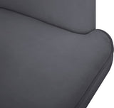 Rays Luxe Velvet Accent Chair with Brushed Gold Legs - Stylish Contemporary Seating for Any Room