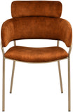 Yara Velvet Dining Chair Set - Luxurious Comfort with Brushed Brass Frame for Modern Dining Spaces
