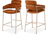 Yara Contemporary Counter Stool with Luxurious Velvet and Brushed Brass Finish for Stylish Seating