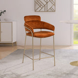 Yara Contemporary Counter Stool with Luxurious Velvet and Brushed Brass Finish for Stylish Seating