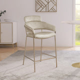 Yara Contemporary Counter Stool with Luxurious Velvet and Brushed Brass Finish for Stylish Seating