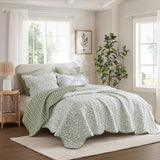 3 Piece Botanical Print Quilt Set, Sage Green