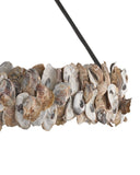 Oyster Shell Chandelier