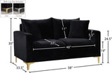 Naomi Contemporary Loveseat with Plush Velvet Comfort and Customizable Gold & Chrome Legs for Style