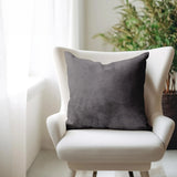 Pillow 20 x 20 Pana Charcoal - Down Alternative Insert