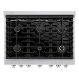 ZLINE 36"Paramount Dual Fuel Range DuraSnow® Brass Burners SDRS-BR-36