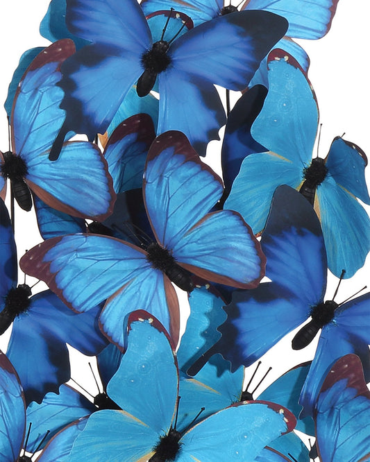 Rue de Bac Blue Large Butterflies