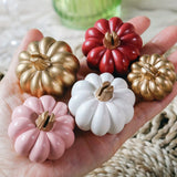 Burgundy & Blush Pink Pumpkin Place Card Holder (Set of 6)