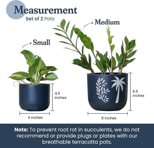 Blue Terracotta Planter Set of 2 – 4” & 6” Pots