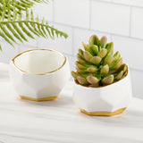Geometric Ceramic Planter Set of 3 for Home Decor