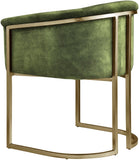 Tierra Luxurious Velvet Dining Chair with Brushed Brass Finish and Contemporary Iron Frame Design