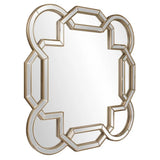 Aleena Mirror