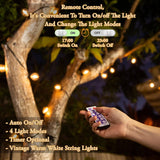 Moss & Stone 25ft Solar String Lights with 15 Bulbs