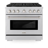 ZLINE 36"Paramount Dual Fuel Range Stainless Steel, Brass Burner, SDR-BR-36