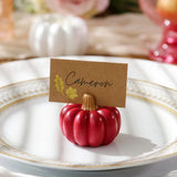 Burgundy & Blush Pink Pumpkin Place Card Holder (Set of 6)