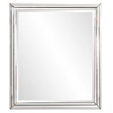 Omni Mirror