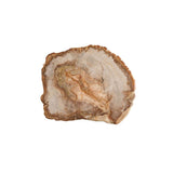 Petrified Wood 12" Cheese Board