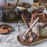 Lead-Free Glass Seasoning Bottle Set with Spoon