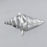 Conch Shell Stainless Mesh Picnic Cover