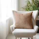Pillow 20 x 20 Pana Sand - Down Insert