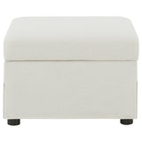 Winter Upholstered Hydraulic Lift Top Storage Ottoman Beige