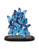 Rue de Bac Blue Large Butterflies