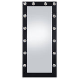 Zayan 32 x 71 Inch Floor Mirror LED Lighting Black Gloss