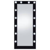 Zayan 32 x 71 Inch Floor Mirror LED Lighting Black Gloss